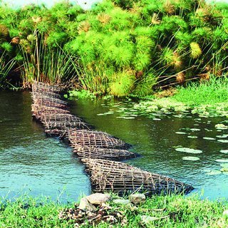 aligned fishing traps