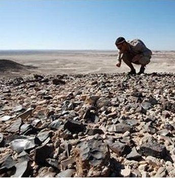 Paleontologist in Upper Nubia
